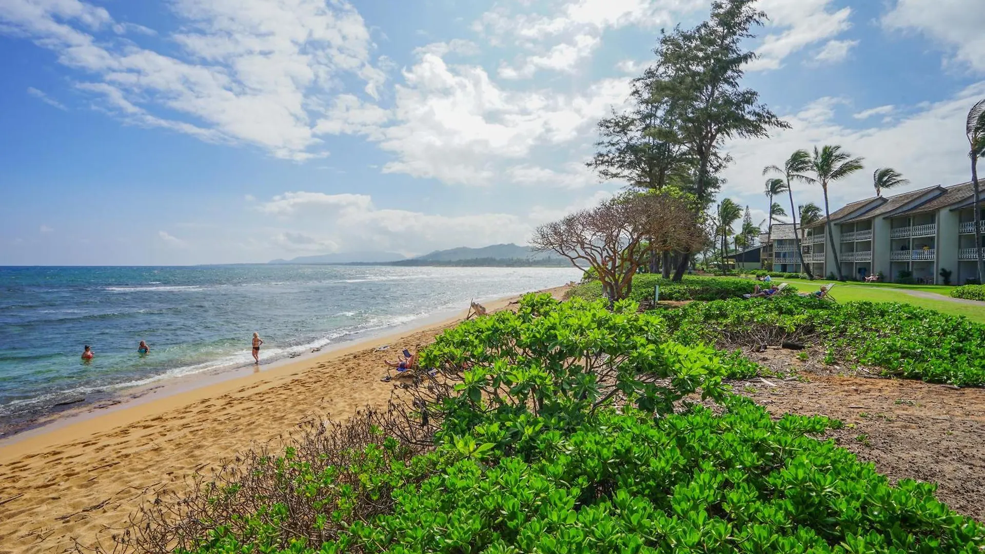 Islander On The Beach 309 - Studio Kapaa