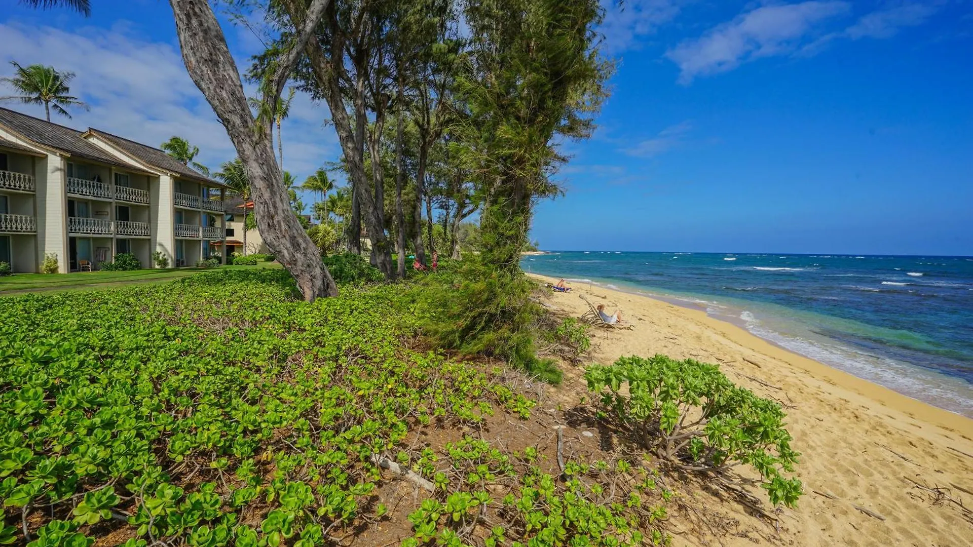 Nyaraló Islander On The Beach 309 - Studio Kapaa Amerikai Egyesült Államok